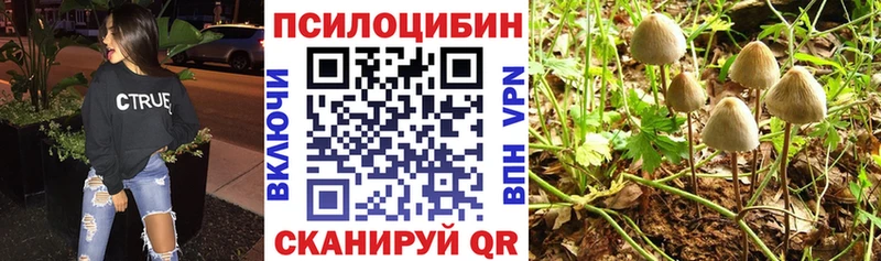 Псилоцибиновые грибы GOLDEN TEACHER  как найти закладки  Питкяранта 